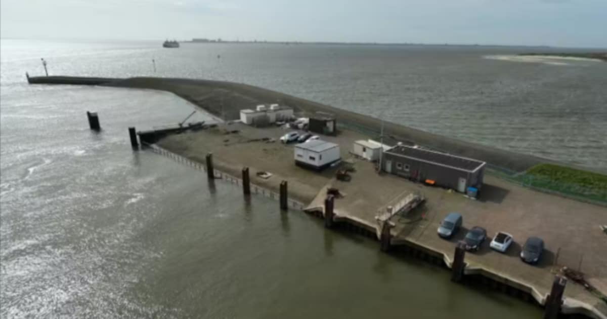 Rijkswaterstaat vervangt palen bij veerhaven Texel