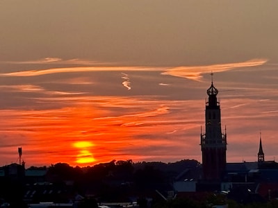 Weekend tips: things to do in Haarlem (October 23-25)