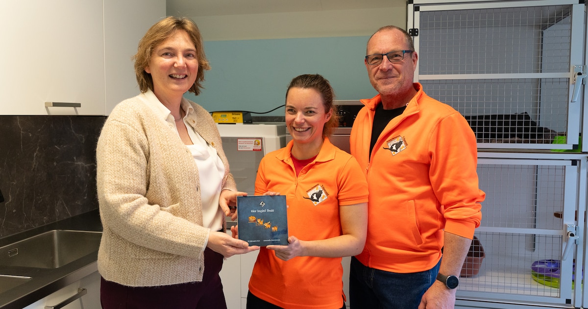 Nieuwe ziekenboeg voor zwerfkatten geopend in Heerenveen