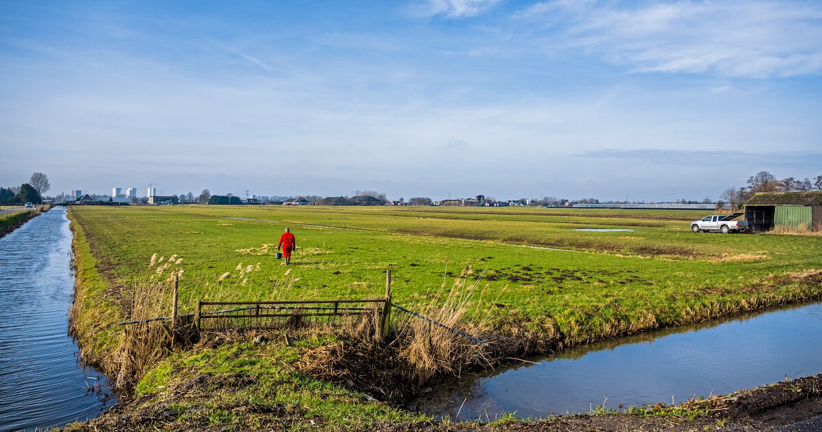 Bewoners en bedrijven niet blij met plannen voor polder: ‘Zuidplas ...