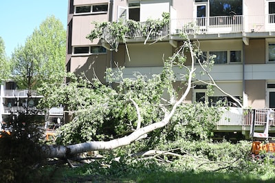 Omgewaaide boom beschadigt balkons van flat in Nijmegen