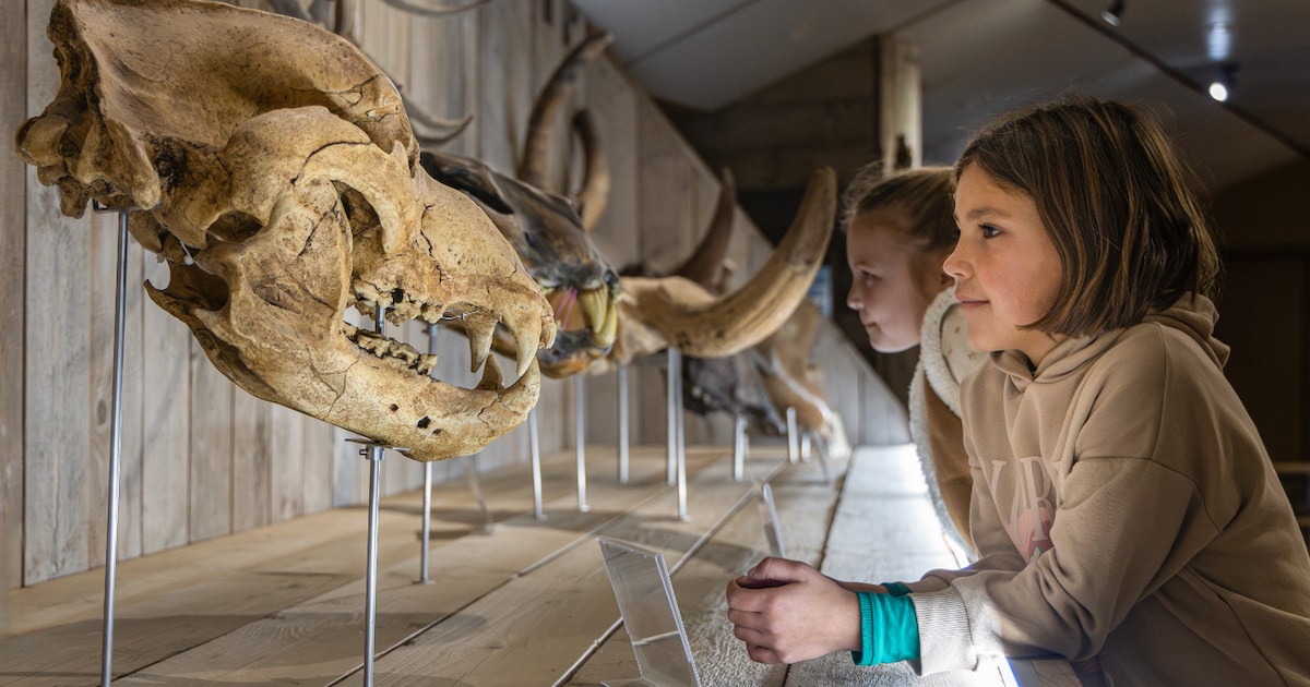 Bezoekerscentrum Min40celsius in Varsselder opent deuren