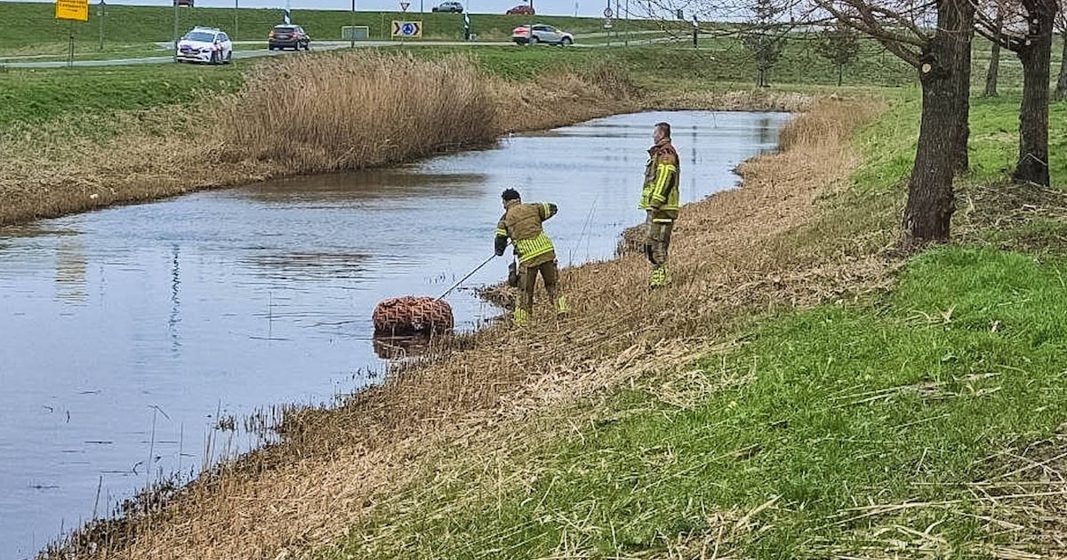 Brandweer Almere zoekt naar persoon te water maar vindt iets anders: ‘Best zielig’