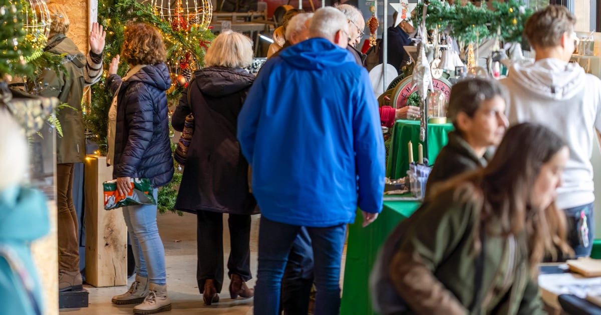 ReuzeGezellige Kerstmarkt bij Ellert & Brammert in Coevorden