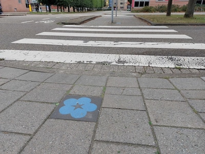 Aha! Dit is de betekenis achter de tegels met een blauw vergeet-mij-nietje in Rokkeveen