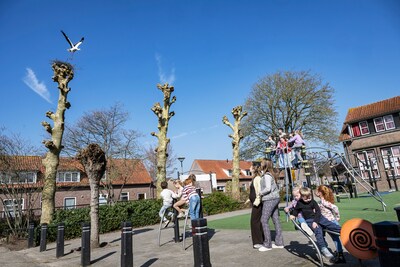 Spanning stijgt rond het bekendste ooievaarsnest van het land, maar kenner heeft slecht nieuws