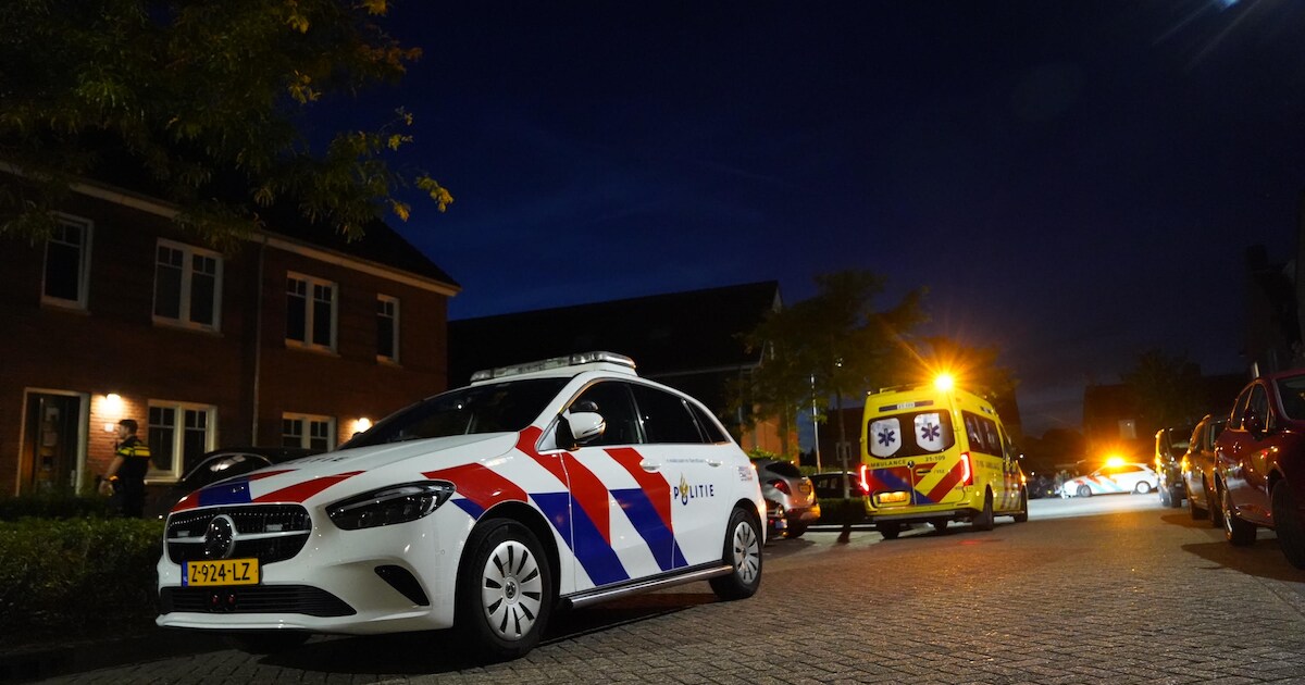 Vrouw overleden bij huiselijk geweld in Vlijmen, man (35) aangehouden