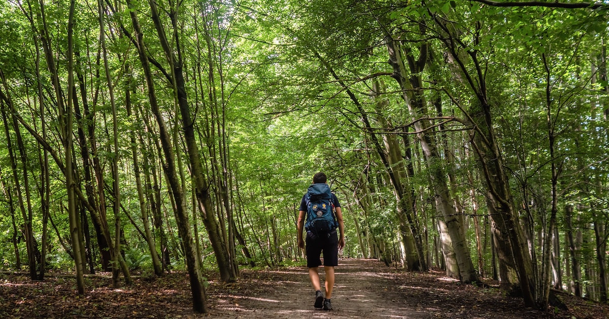 Lange hike in Hilversum op zondag 16 november