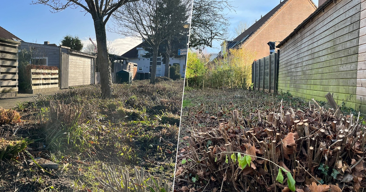 Petitie tegen verwijderen openbaar groen in Loenen, maar veel bewoners weten van niks: ‘Alles is kaa