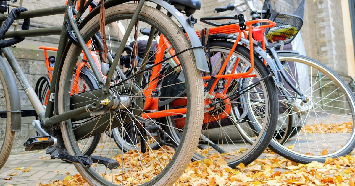 Fietsie foetsie! Zoveel fietsen werden vorig jaar gejat in Zoetermeer