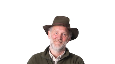 Image related to the article