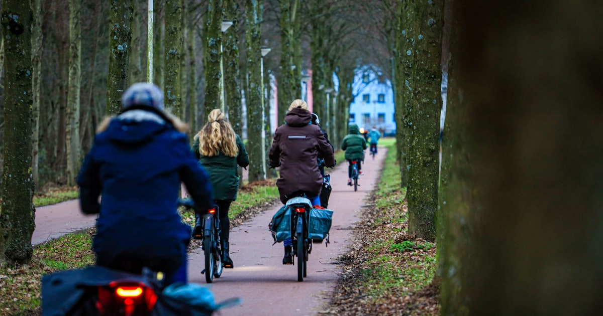 Kogel is door de kerk: na jarenlange discussie komen er drie camera’s langs ‘doodeng’ fietspad Hoole