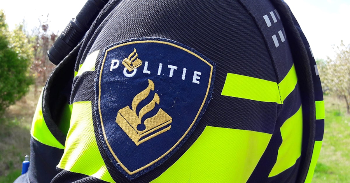 Verdovende middelen gevonden tussen fruit bij Lidl in Sint-Oedenrode