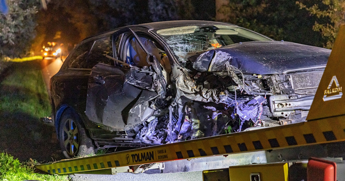 Bestuurder slaat op de vlucht na botsing met bomen en verkeersbord bij Eastermar