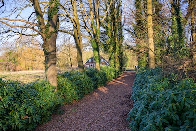 Image related to the article