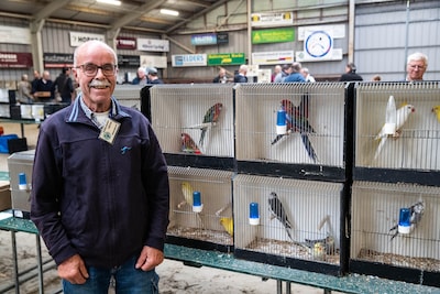 Zorgen om dierenwelzijn en strenge regels: vogelmarkt vergrijst, maar deze liefhebbers geven niet op