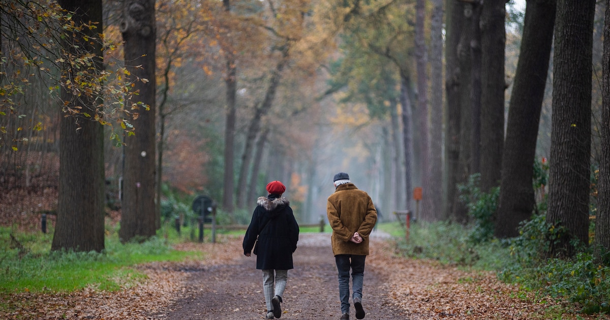 Trek je wandelschoenen aan voor de Wandelmeedag in Stabroek op 11 november