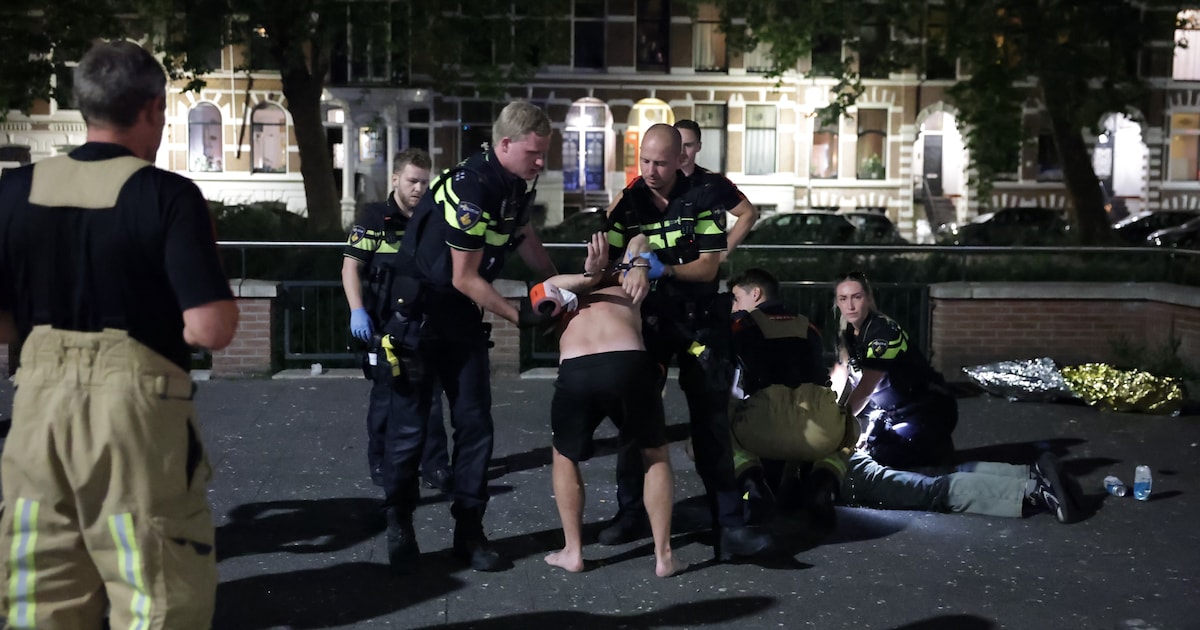 Man stompt agent in gezicht en andere man probeert stroomstootwapen af ...