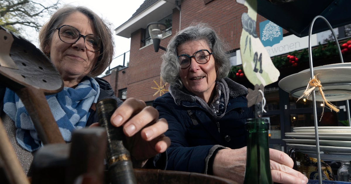 Er zijn zorgen om Buitenkunstig Gorssel, maar de redding is misschien wel nabij