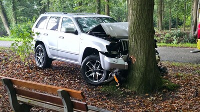 Auto botst tegen boom in Breedenbroek