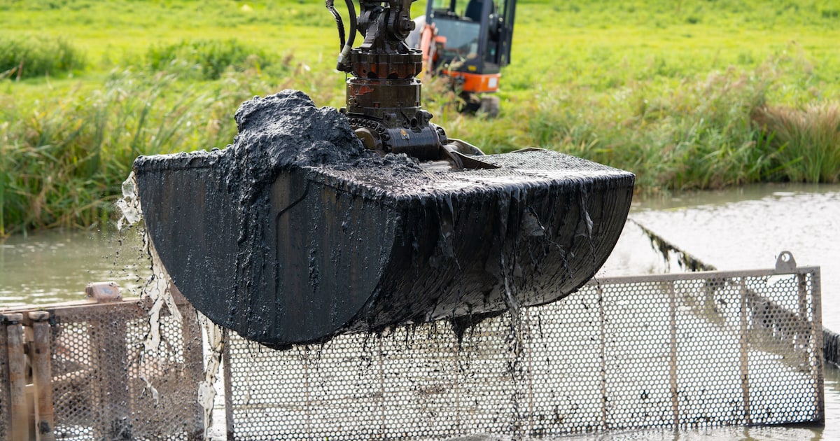 Vijver Glazenapstraat in Tegelen opgeknapt voor betere waterkwaliteit