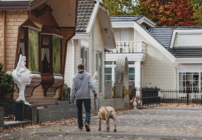 Na jaren zoeken heeft gemeente Breda locatie voor nieuw woonwagenkamp
