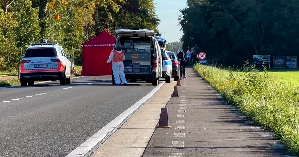 Voetganger (28) stierf na ‘onvermijdbare’ aanrijding: Motard (39) staat terecht wegens vluchtmisdrij