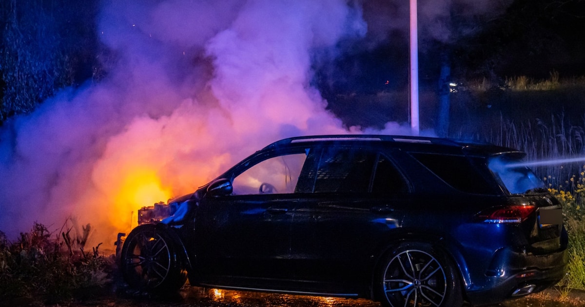Geparkeerde auto in brand aan de Watermolen in Maassluis