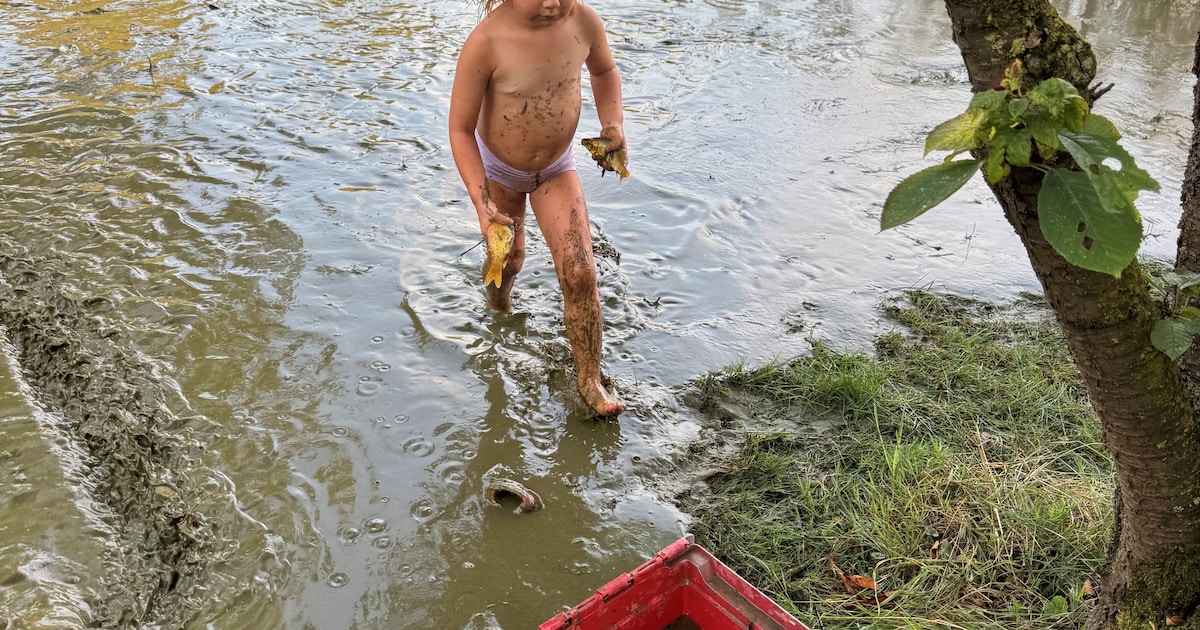 Noé helpt met de visjes en Soof chillt met de hond