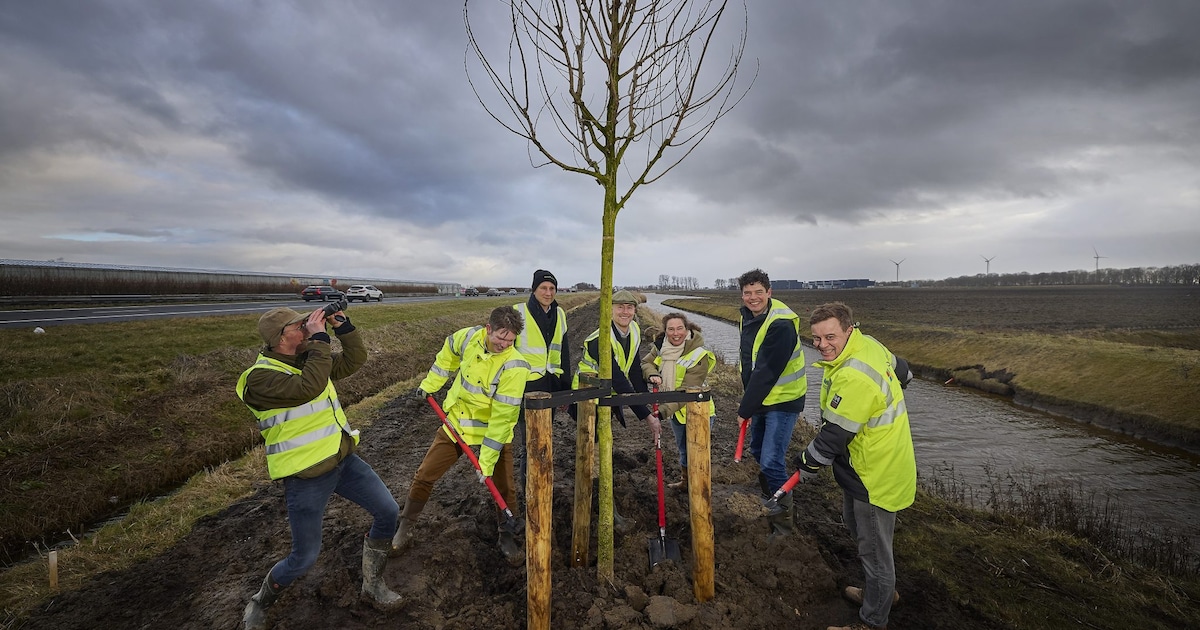 Eerste bomen geplant bij toekomstig datacenter in Middenmeer