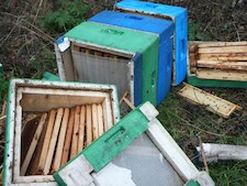 Twee bijenkasten opgeblazen met vuurwerk in Bunschoten