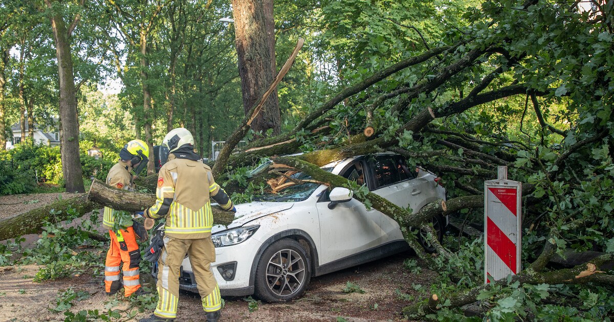 Hitte in de provincie Utrecht: Meerdere auto’s total loss door vallende bomen, prinses Beatrix inspe