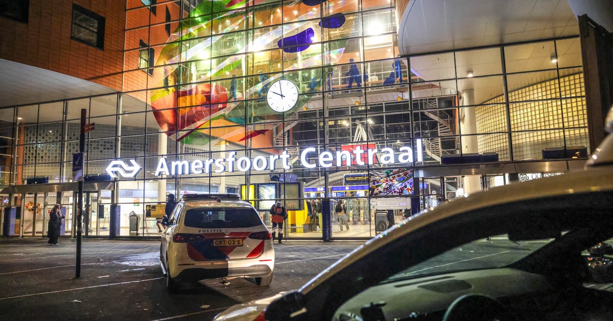 Man steekt vrouw neer in Utrecht en vlucht in trein, agenten houden verdachte aan op station Amersfo