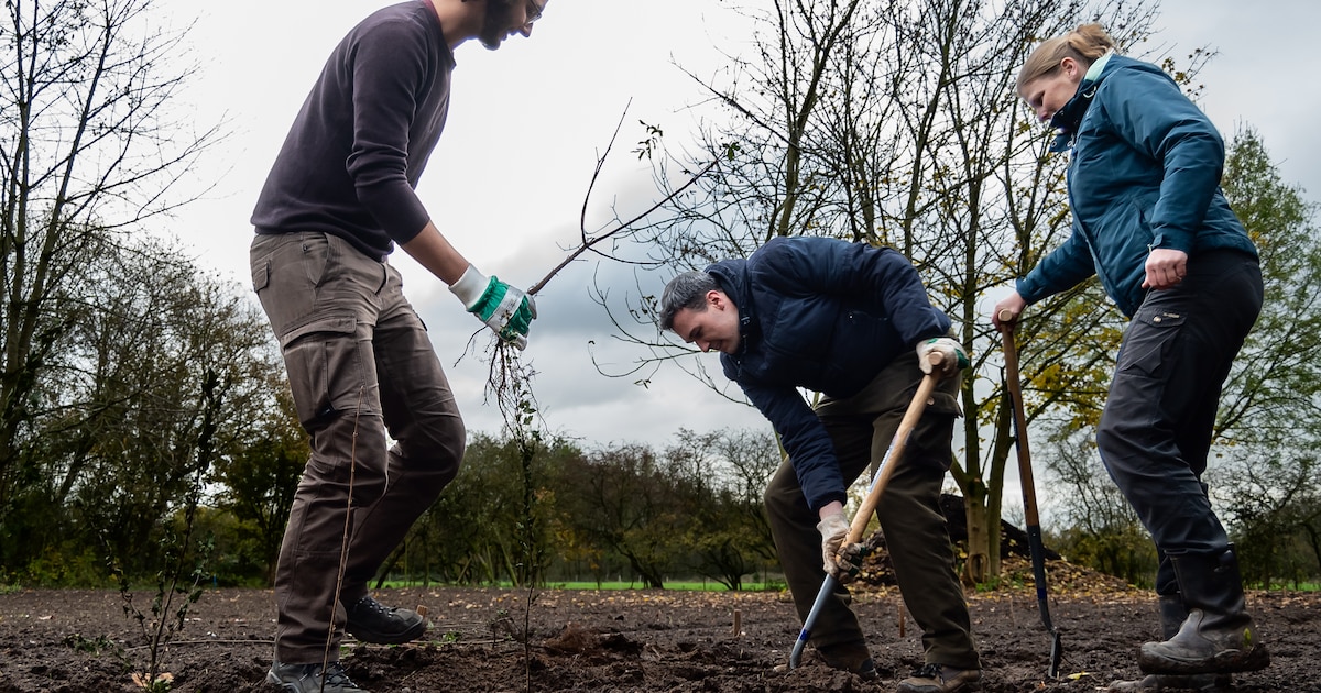 Lingewaard start project voor meer biodiversiteit