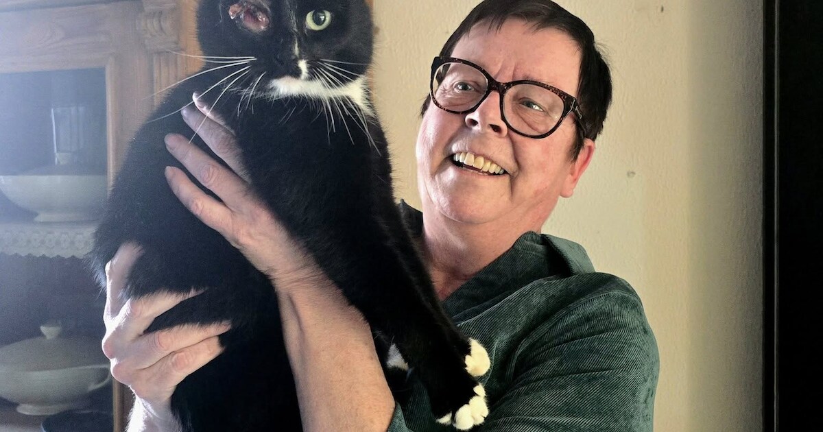 Kat Boef duikt na twee jaar weer op in de bosjes in Oudemirdum: eigenaresse en kat herenigd