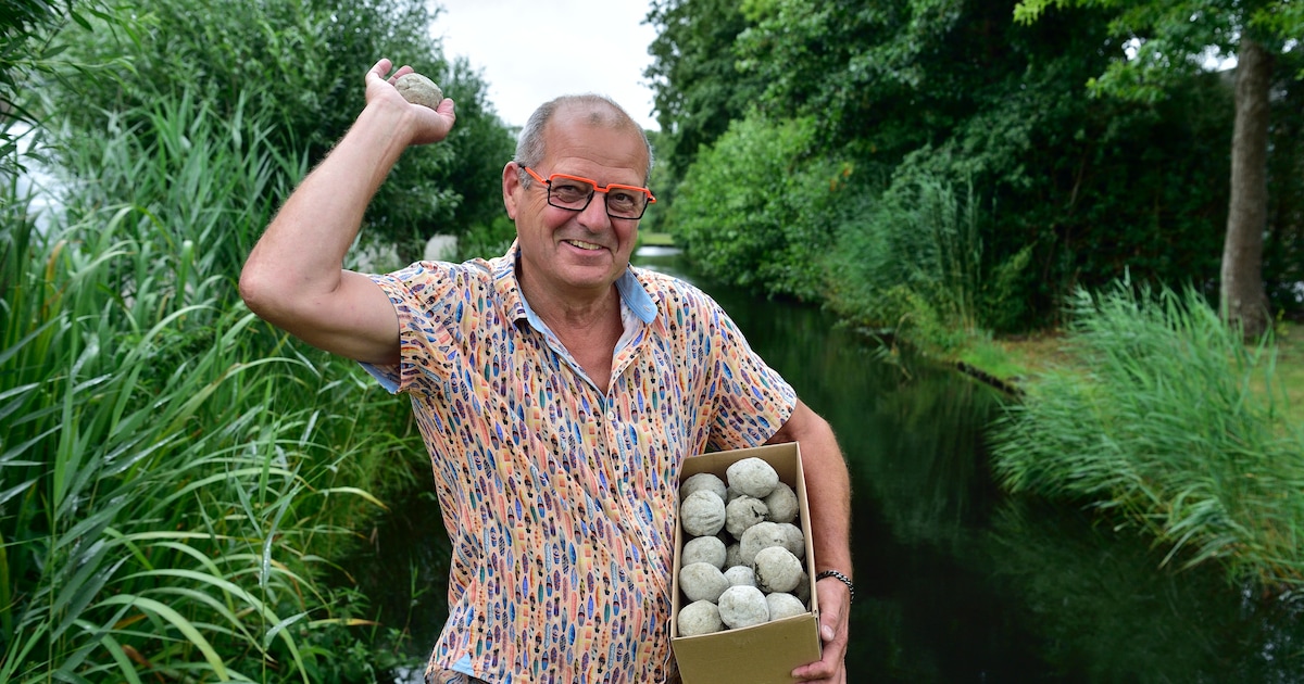 Breng leven in uw tuin met vijvers en waterpartijen | H&W Hoveniers