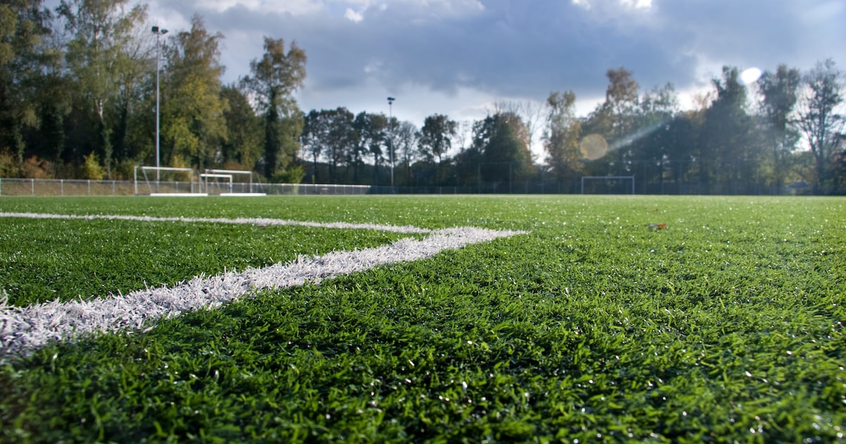 Volgens rekentool heeft Raalte genoeg voetbalvelden, toch willen clubs extra kunstgras
