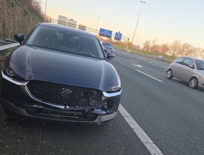 Ree wordt aangereden op de A2 bij Den Bosch: dier overleeft het niet