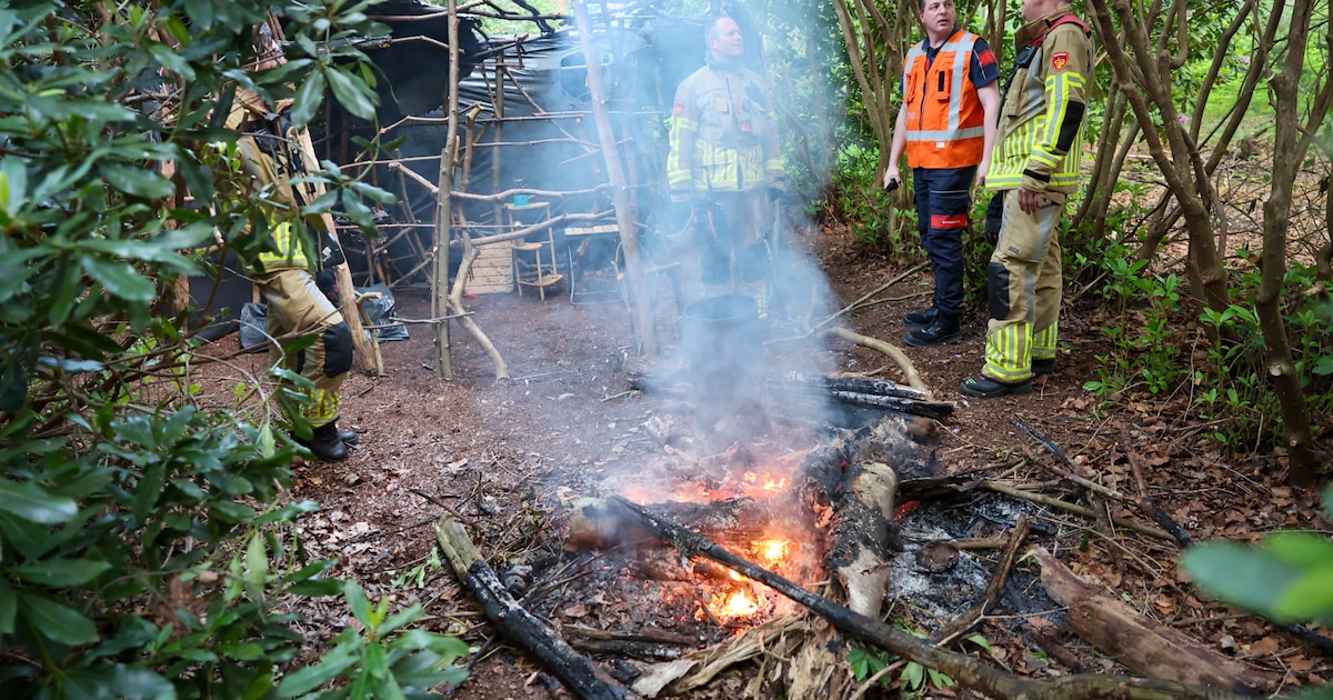 Kampvuur ontdekt in bosgebied bij Zeist, politie neemt spullen mee