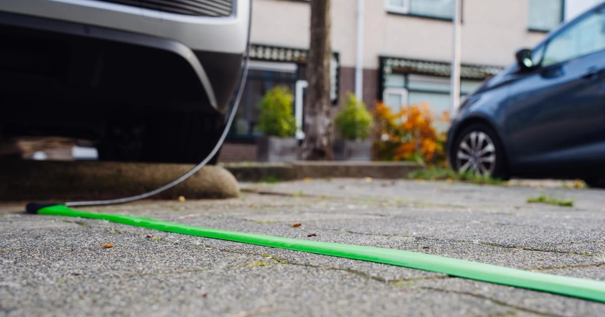 Alvin's Cables 4 pins male naar D-tap voedingskabel voor Zacuto