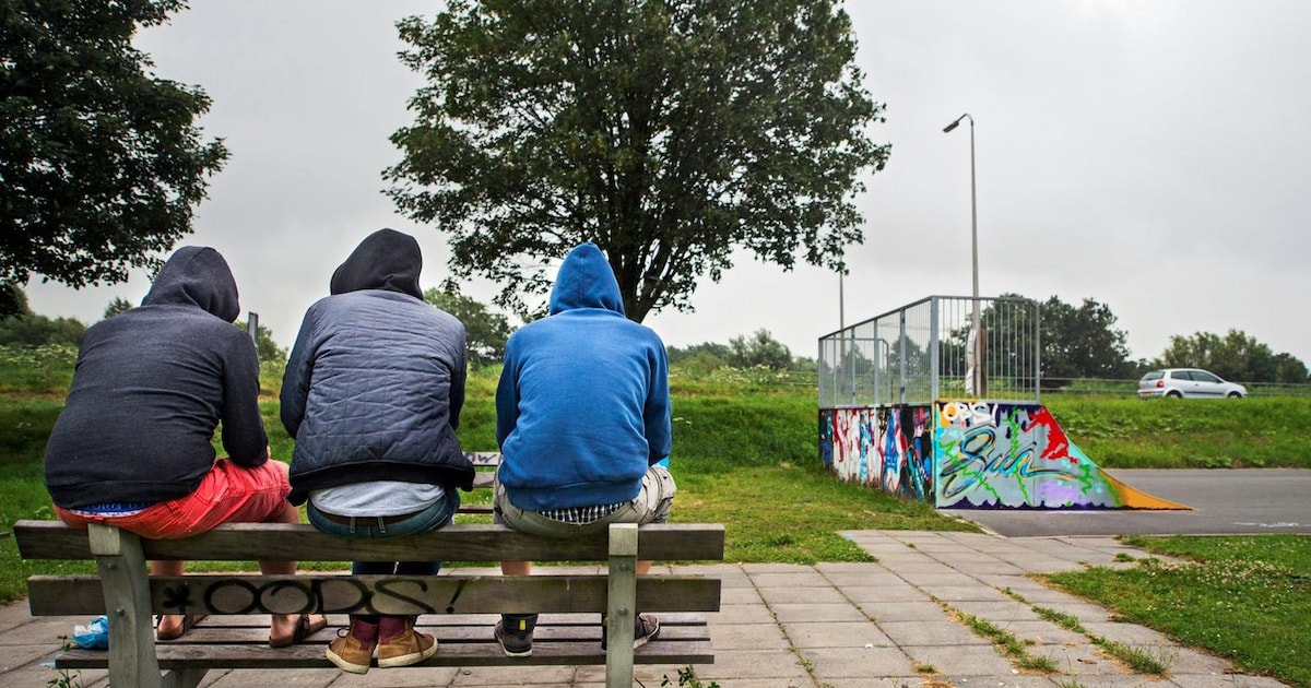 Container uit Sportpark verwijderd na overlast, jongeren zoeken nieuwe ontmoetingsplek