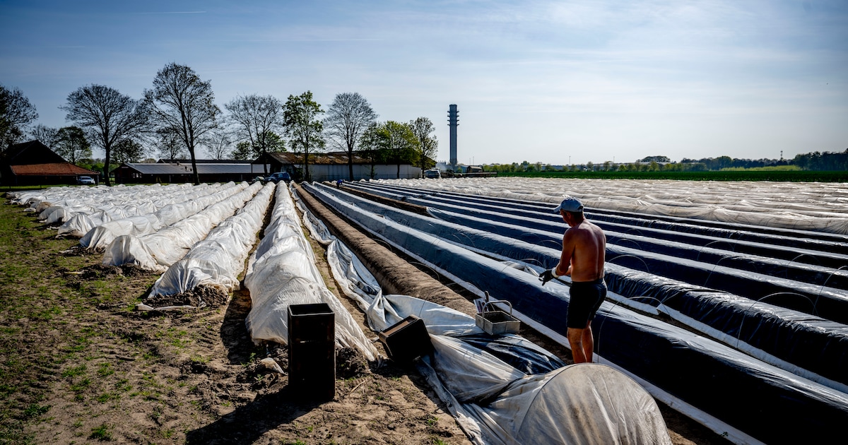Werkgevers in Drimmelen mogen tot 150 arbeidsmigranten huisvesten op eigen terrein