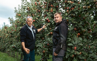 Appels en peren vergelijken: op deze datum koop je ze voor een prikkie in Utrecht