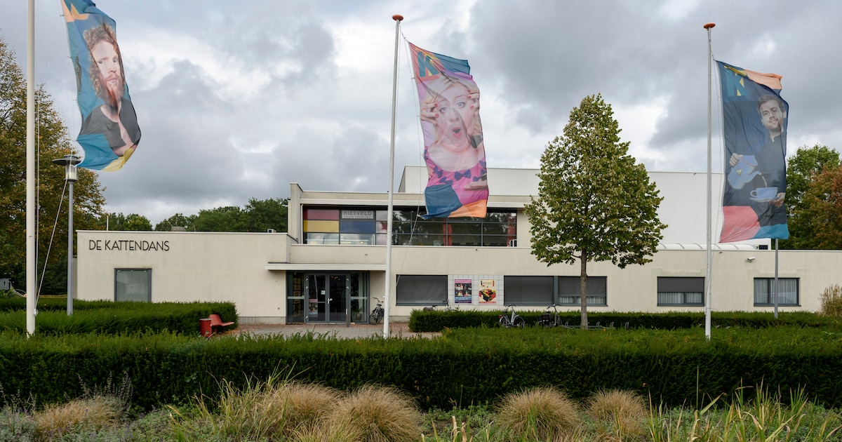 Bibliotheek Bergeijk en theater De Kattendans houden theatermiddag voor Kinderboekenweek