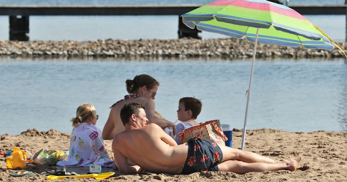Blauwalg in het Oostvoornse Meer: zwemmen wordt afgeraden