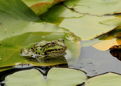 Image related to the article