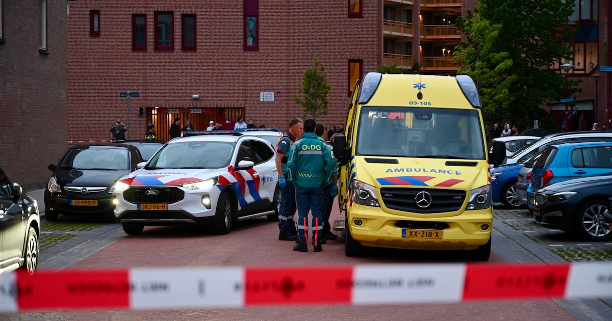 Gewonde en aanhouding bij steekpartij op de Dukatenburg in Nieuwegein