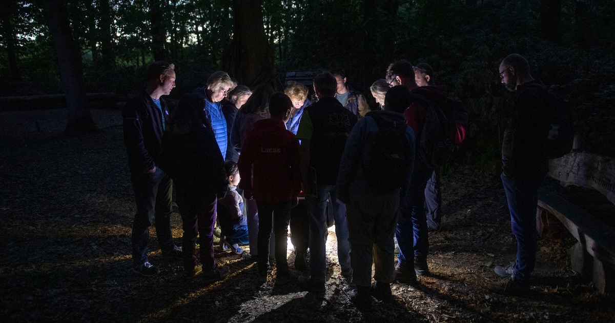 Nachtvlindertelling in duinen bij Ouddorp
