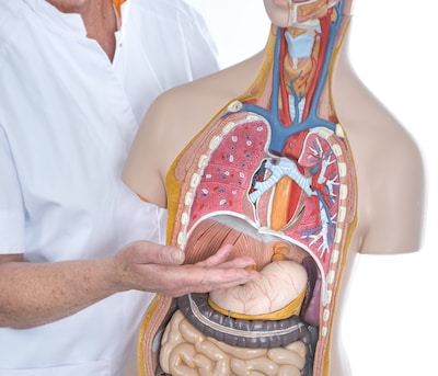 Oncologienetwerk sluit met infoavond in Gelre ziekenhuizen aan bij maag- en slokdarmkankerweek