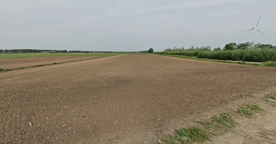 Ruim honderd voetbalvelden aan bos- en natuurgrond blijken nu akkers of weilanden te zijn